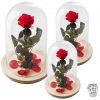 0000241_reffmj0130rosa-encantada-del-amor-eternoa-partir-de-15 Ref.FMJ0130.Rosa encantada del amor eterno.(a partir de 15€)