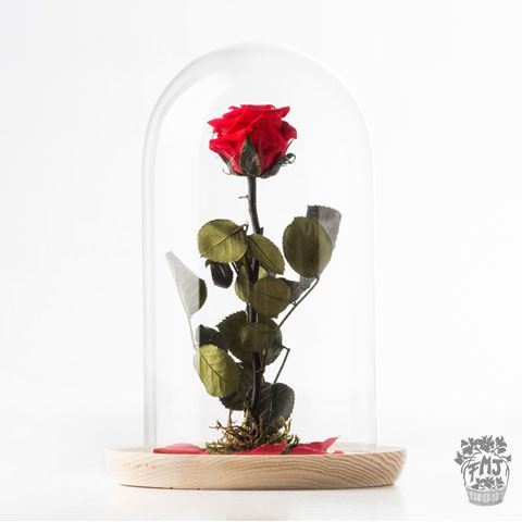 0000243_reffmj0130rosa-encantada-del-amor-eternoa-partir-de-15 Ref.FMJ0130.Rosa encantada del amor eterno.(a partir de 15€)